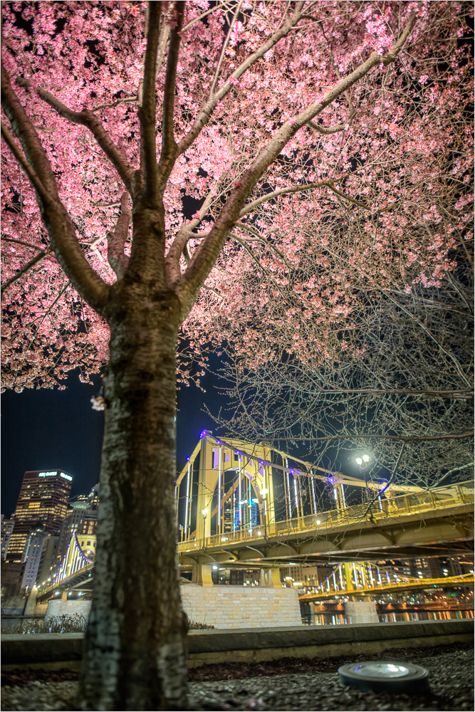 Cherry-Bomb-On-The-Riverwalk.jpg