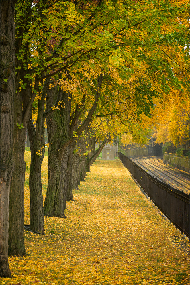 Ochre-Alley.jpg