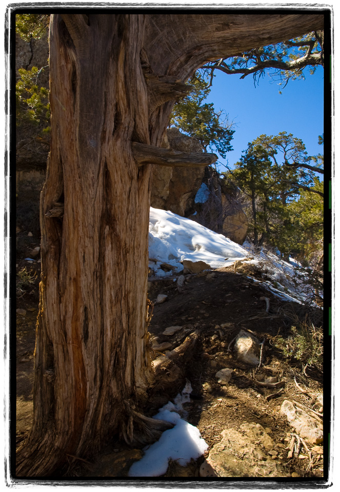 Snow-At-The-Canyon's-Rim.jpg