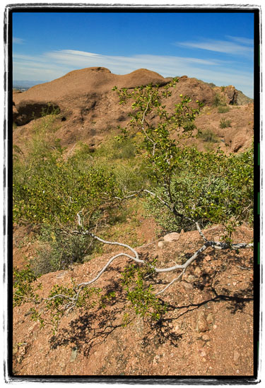 Arizona