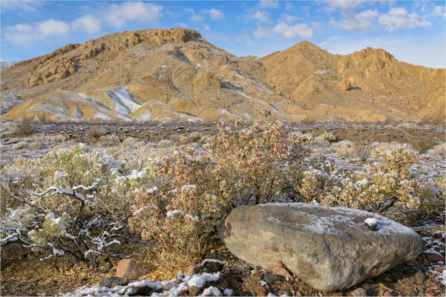 A-Dusting-In-The-Desert.jpg