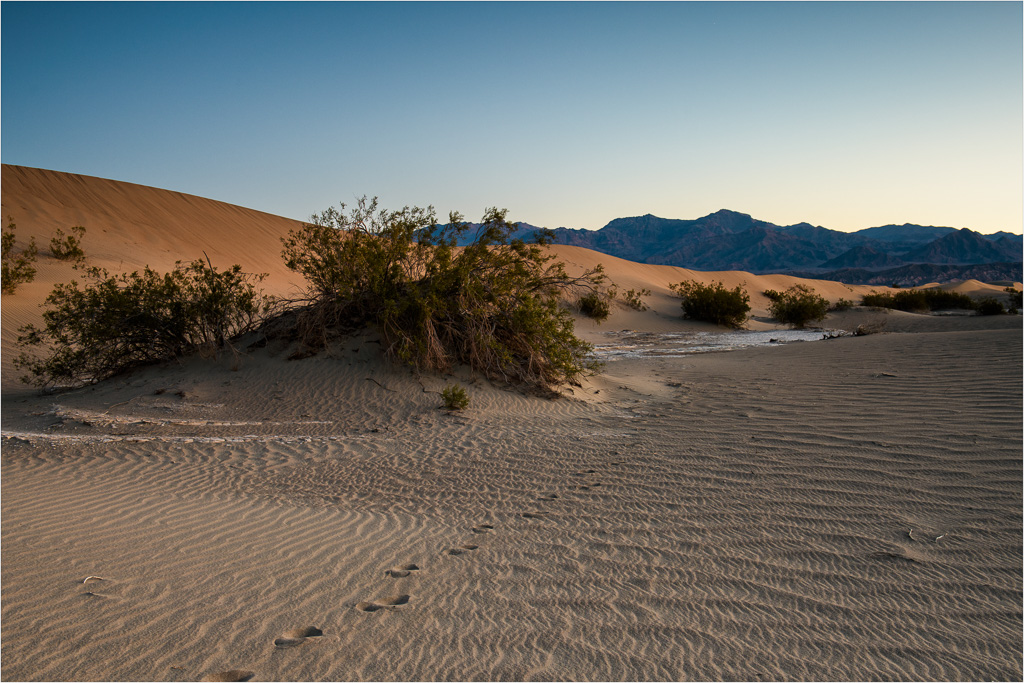 Ripples-Broken-By-Footprints.jpg