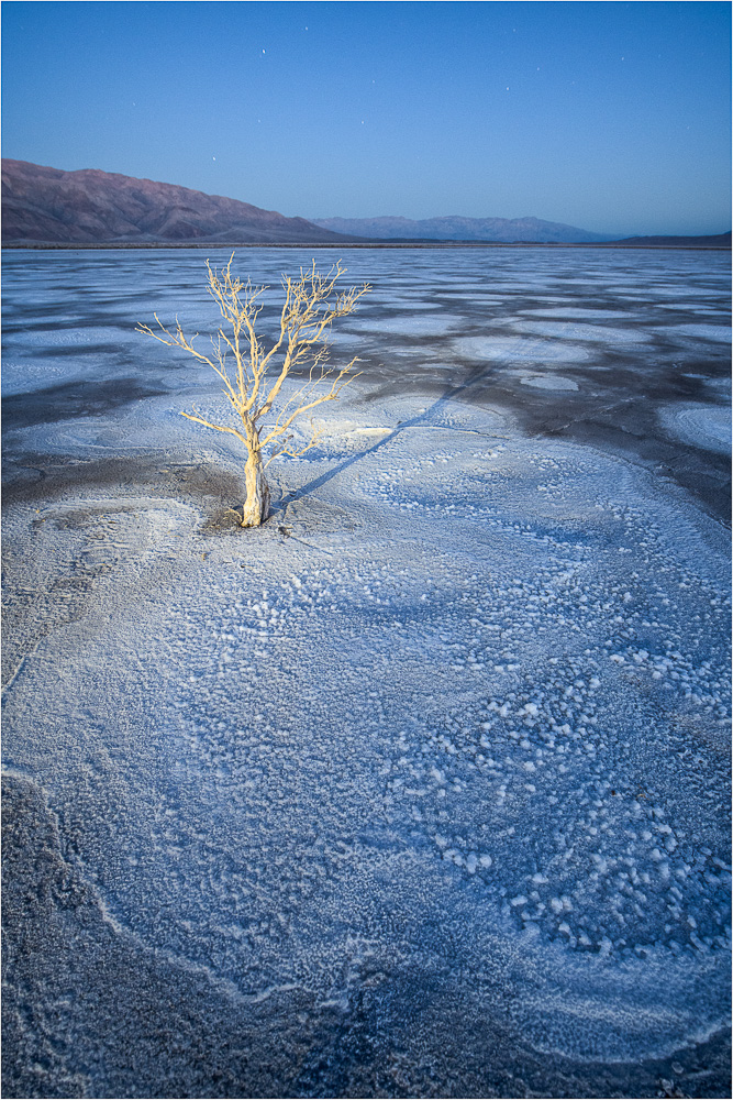 Standout-On-The-Salt-Flat.jpg