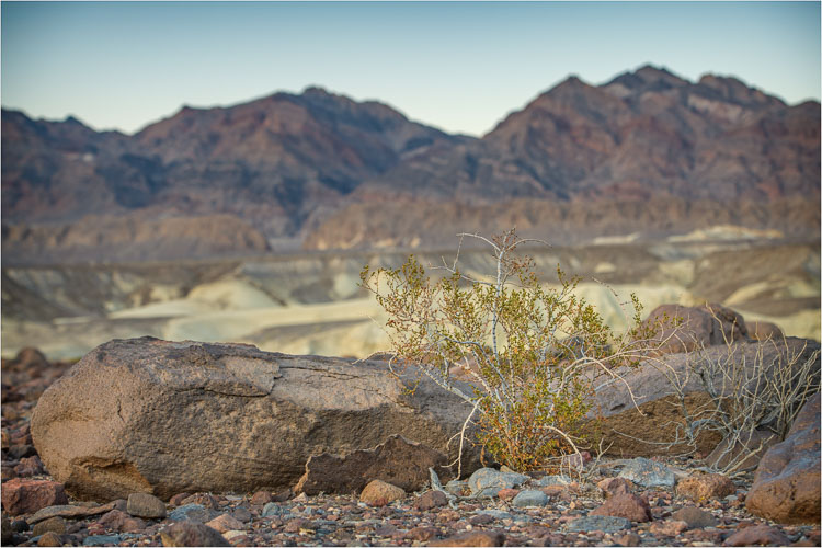 Colors-Of-Desert-Twilight.jpg