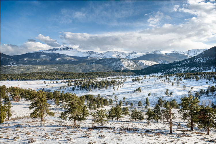 Snowy-Blanket-Across-The-Park.jpg