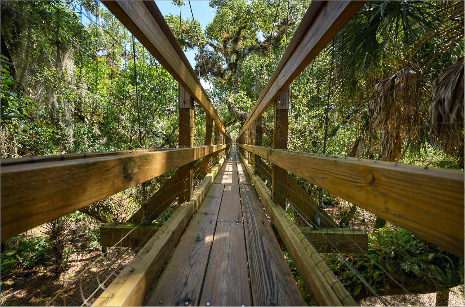 The-Canopy-Walk.jpg