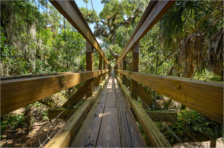 Lake Myakka