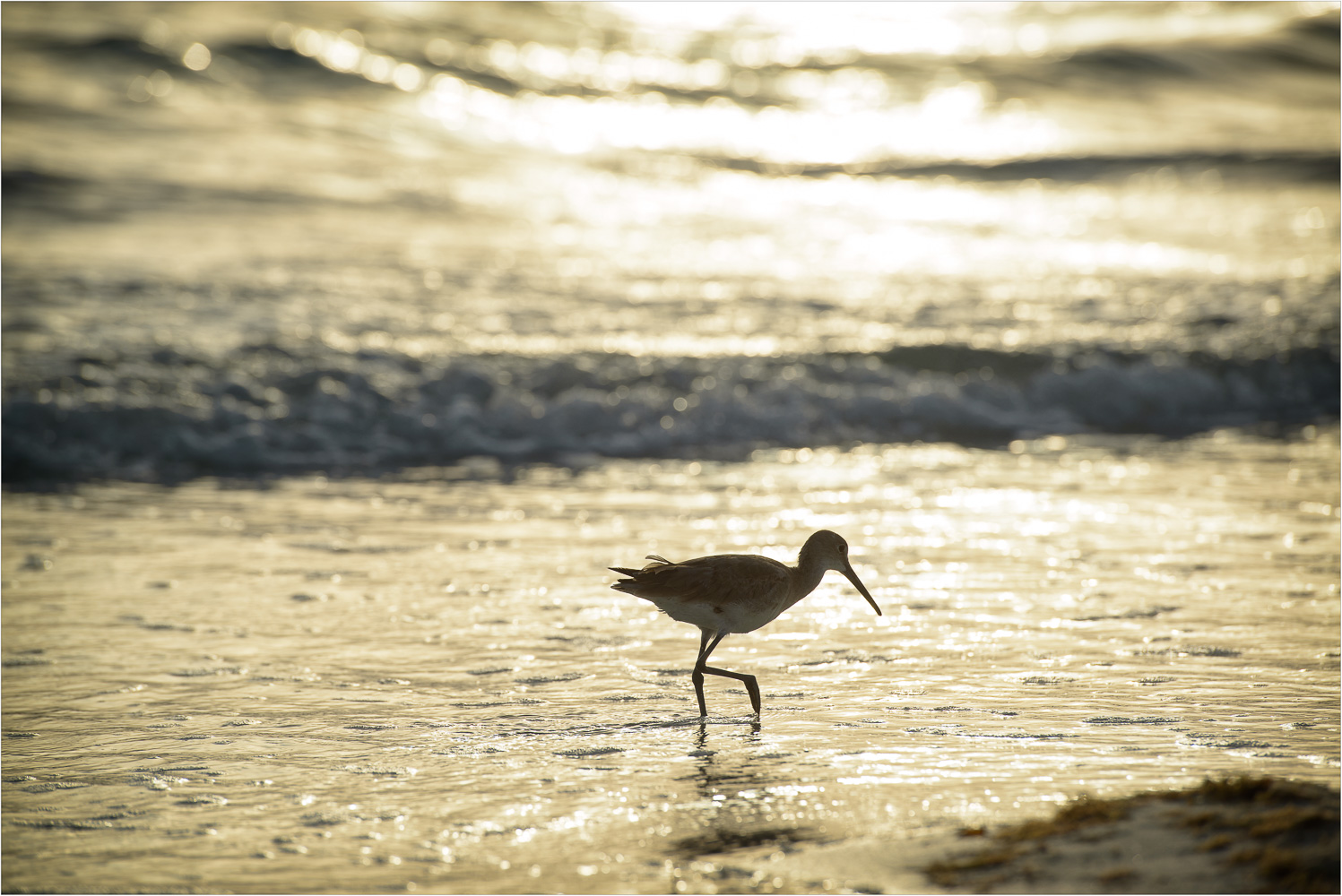 An-Evening-Of-Fishing.jpg