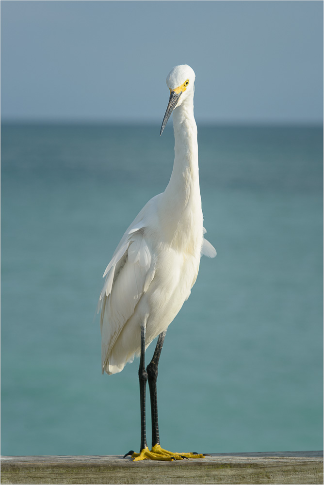 Posing-On-The-Pier.jpg