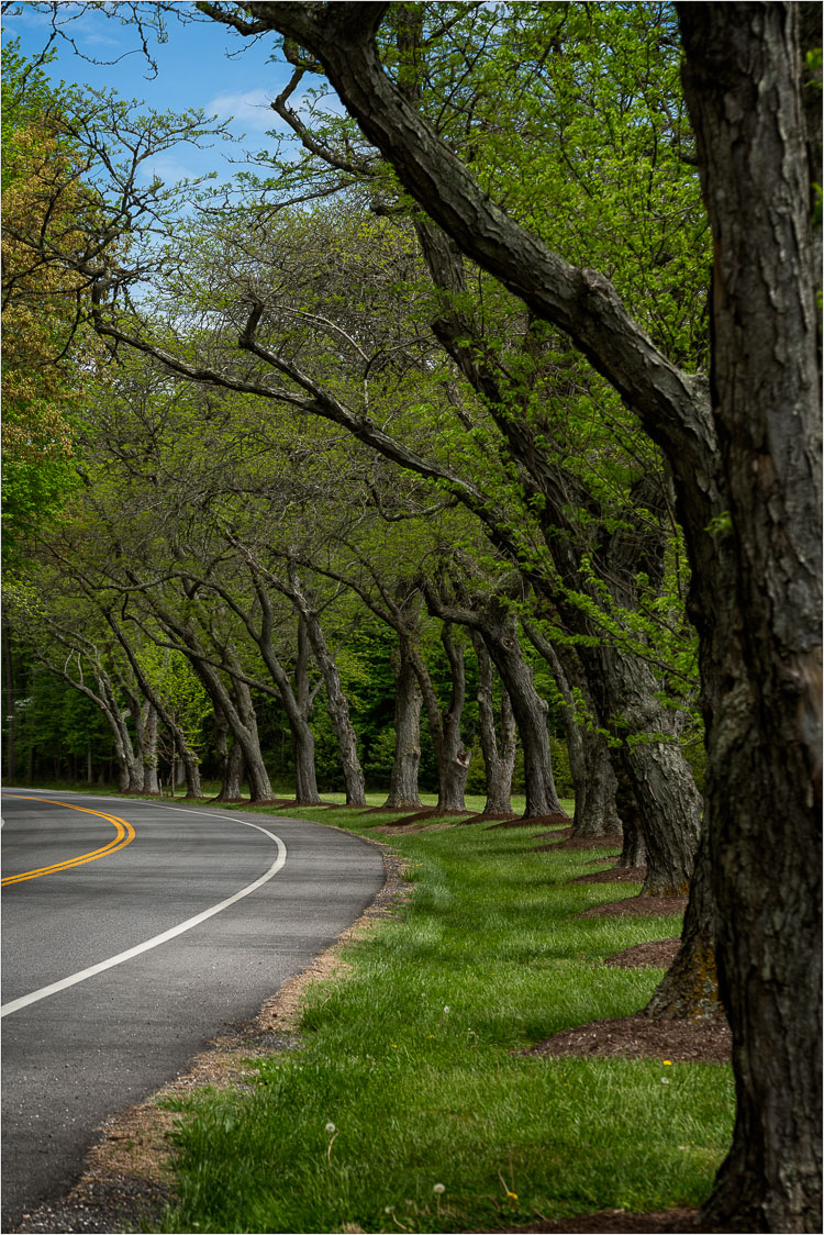 Assateague Island