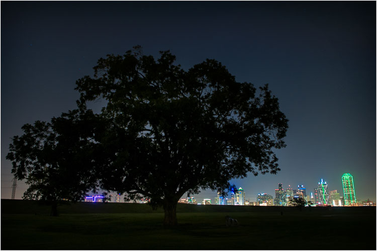 Observing-Dallas-From-Afar.jpg