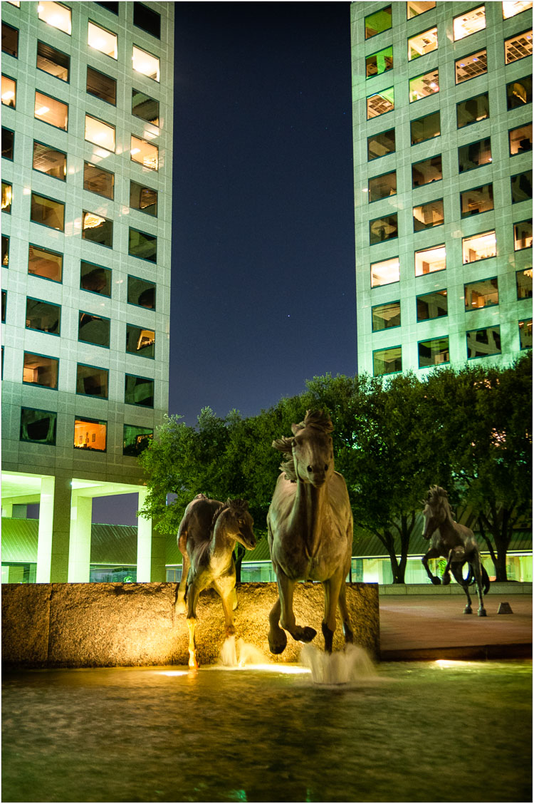 Wild-Mustangs-Of-Las-Colinas.jpg