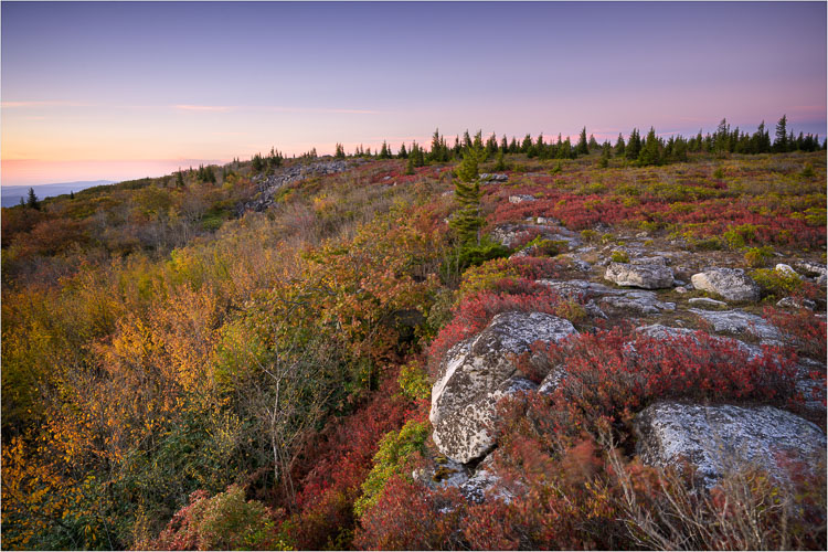 West Virginia