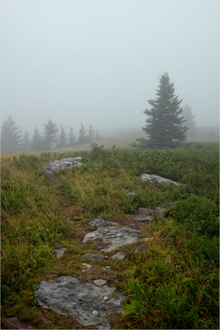 Foggy-Ridgeline.jpg