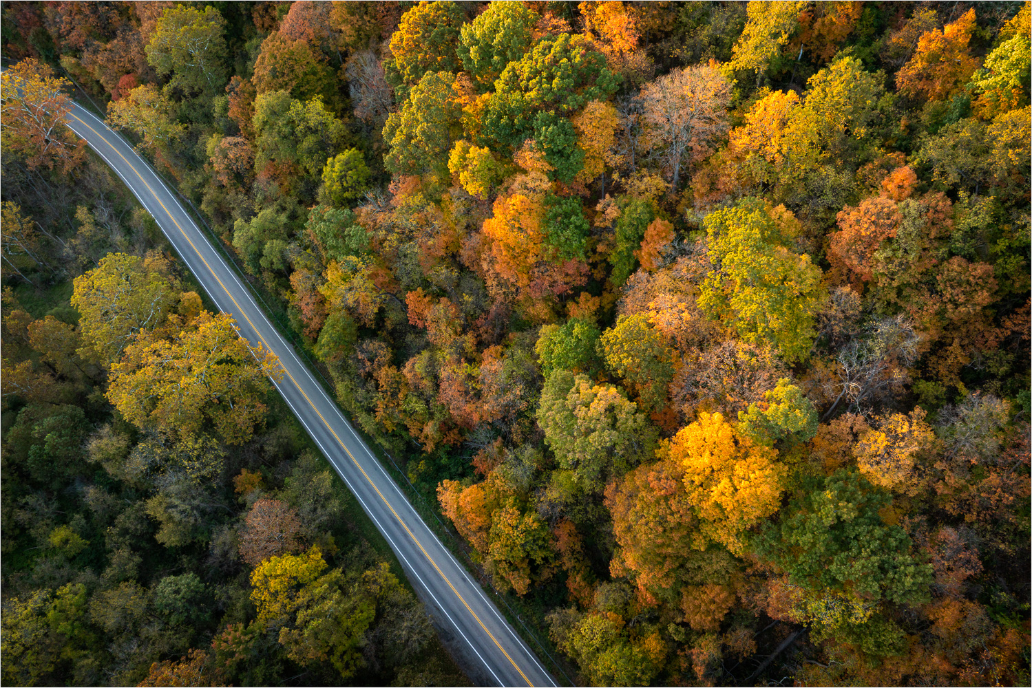 A-Pop-Of-Color-For-The-Road.jpg