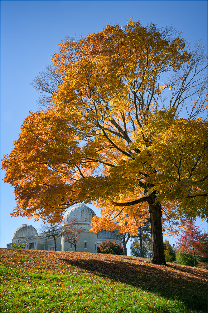 Aglow-At-The-Observatory.jpg