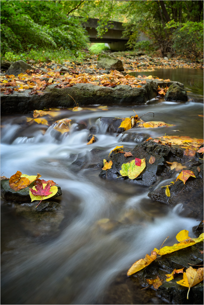 Autumn's-Watery-Interstate.jpg