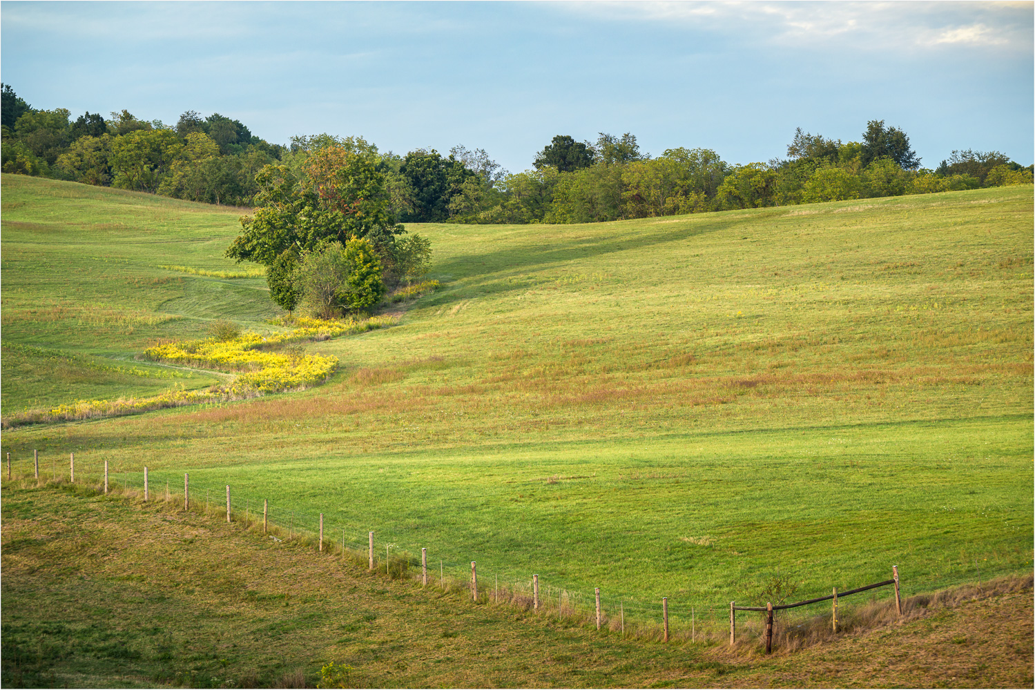 Lines-Of-The-Countryside.jpg