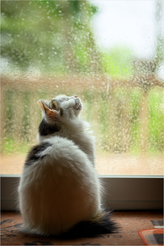 Mario-Loves-A-Rainy-Day.jpg