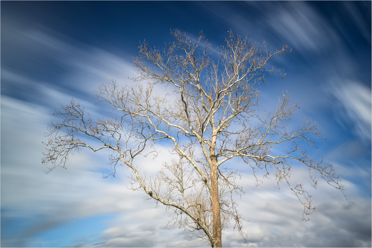 Movement-In-The-Sea-Of-Clouds.jpg