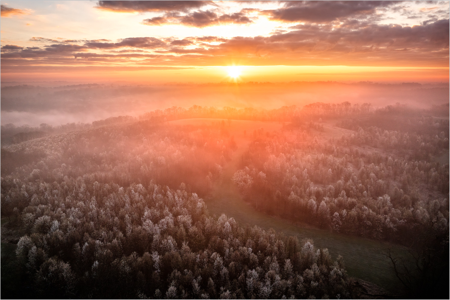 Warming-The-Blossoms-On-A-Foggy-Morning.jpg