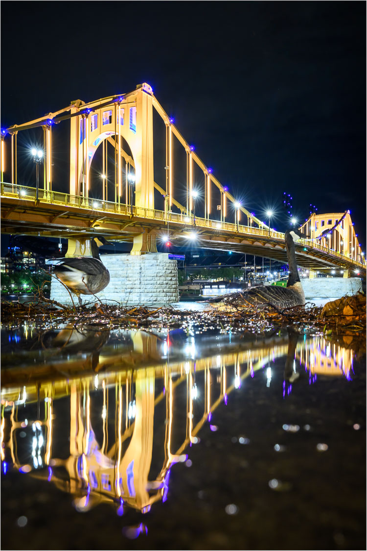 2024 Picture a Day
