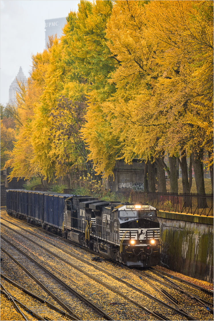 Riding-The-Golden-Rails.jpg