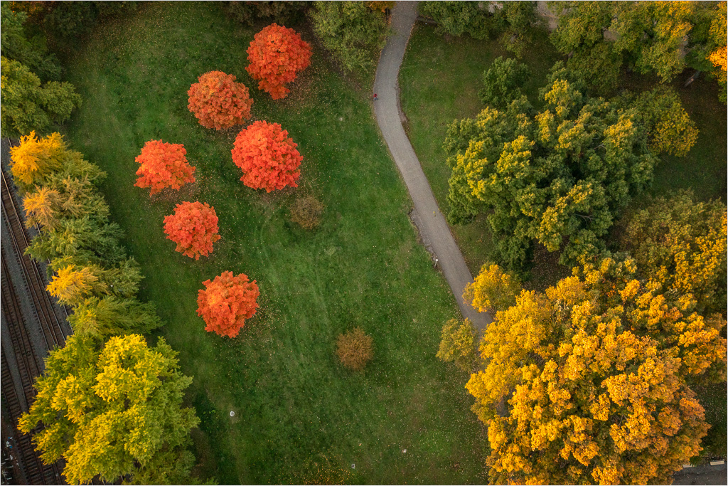 A-Collection-Of-Fall-Colors.jpg