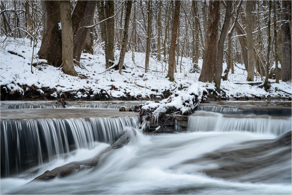 A-Rush-Amidst-The-Woods.jpg