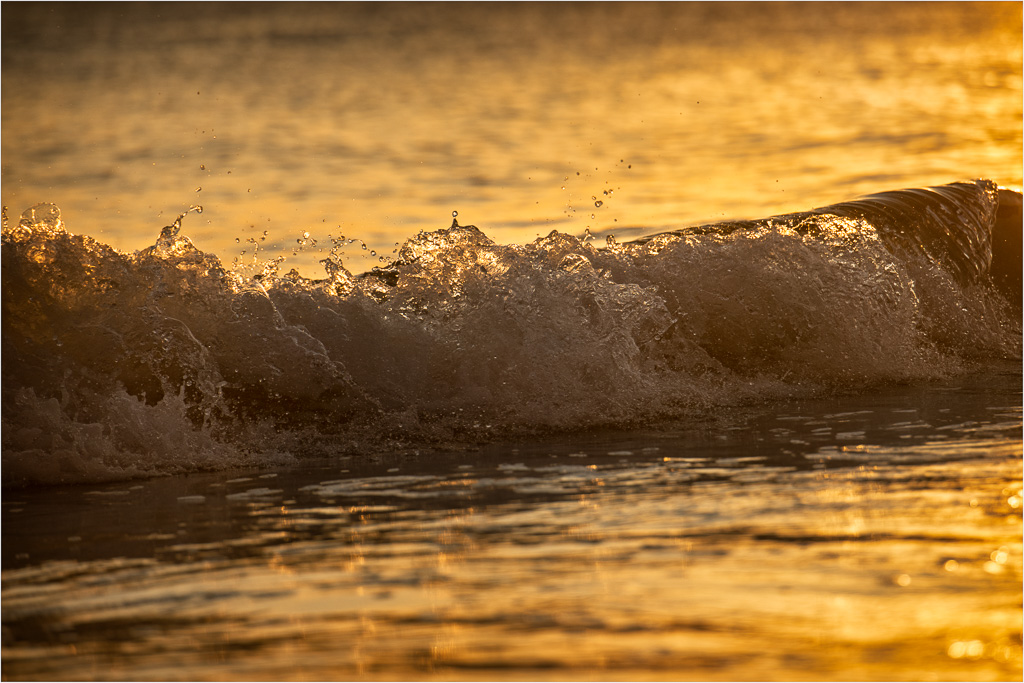 A-Splash-Of-Golden-Hour.jpg