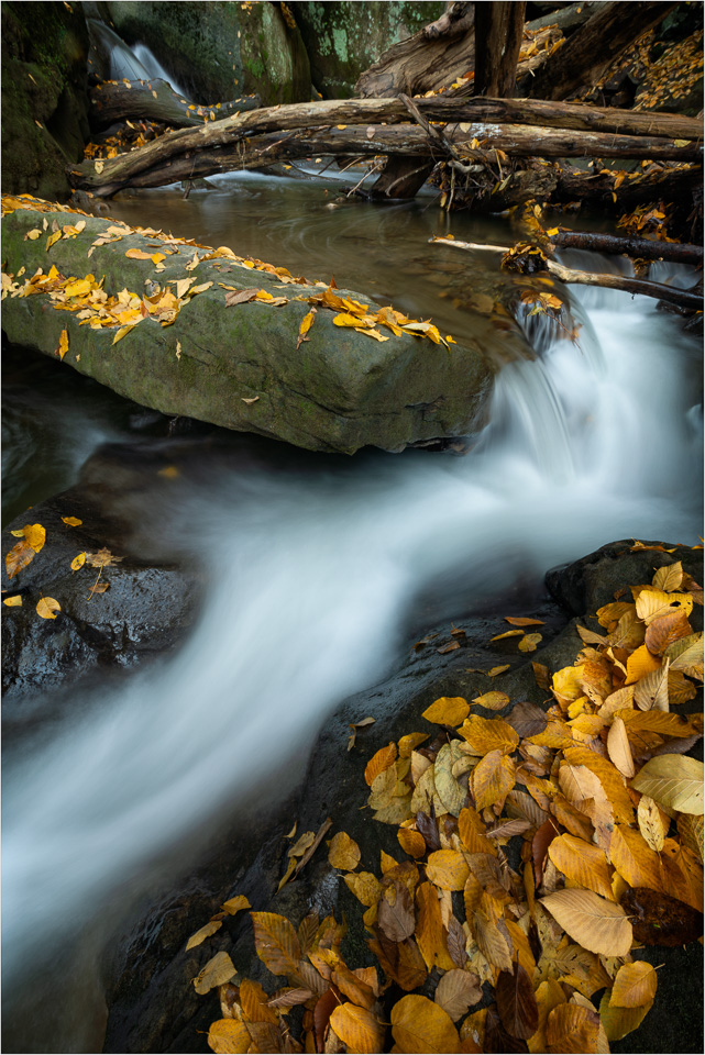 Autum-And-The-Flow.jpg