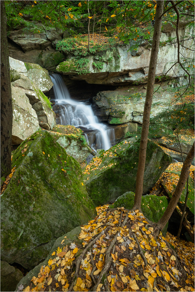 Autumn-Orange-And-Green.jpg