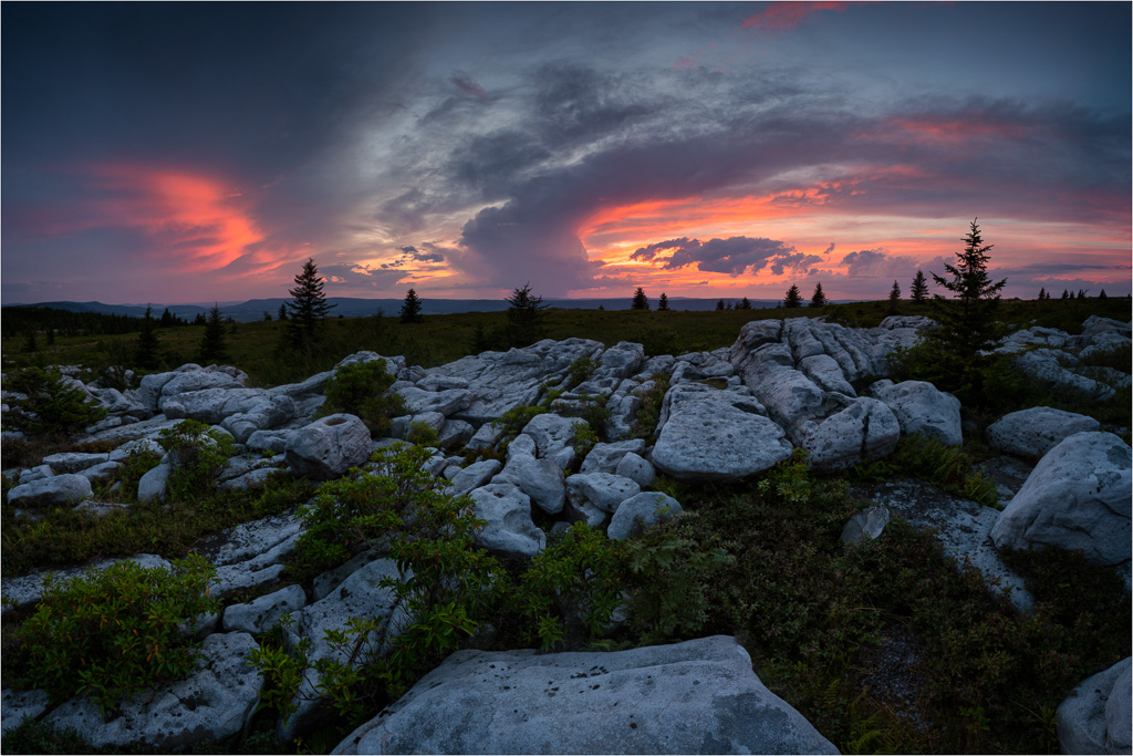 Blue-Hour-Lightshow-In-The-Wilderness.jpg