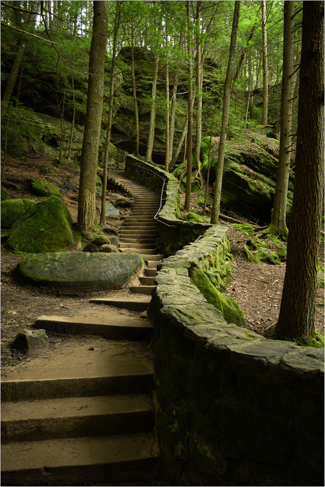 Forest-Stairs.jpg