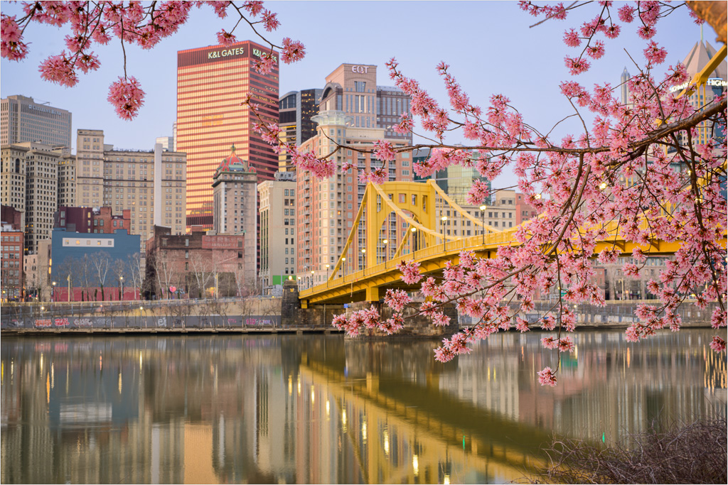 Peeking-Through-The-Blossoms.jpg