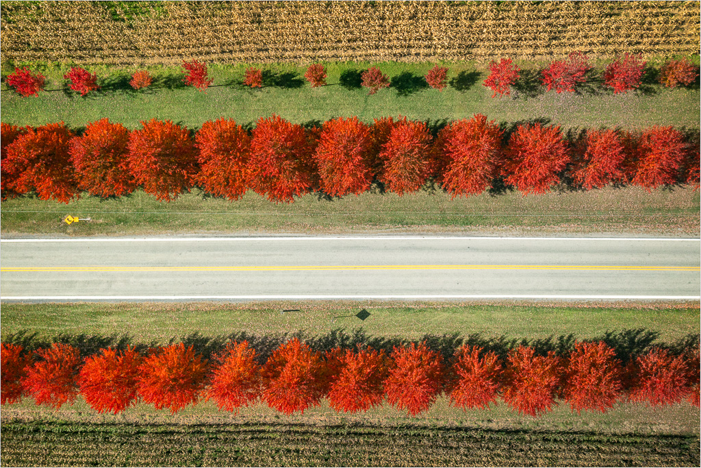 Rows-Of-Seasonal-Color.jpg