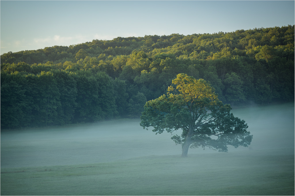 Still-Misty-As-The-Sun-Rises.jpg