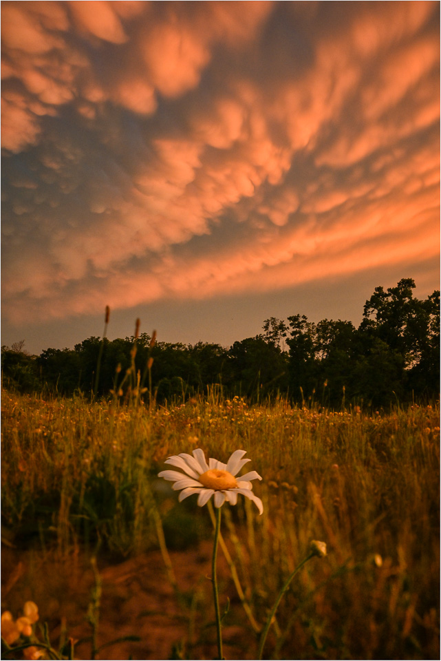 Under-A-Sky-Of-Orange.jpg