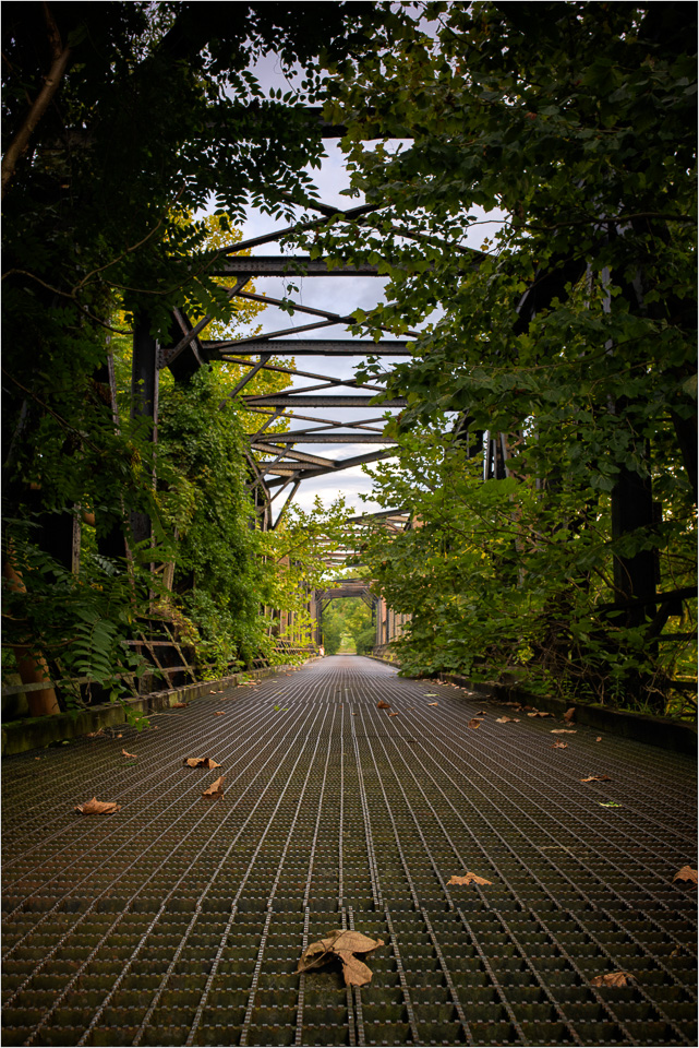 A-Telling-Sign-That-Autumn-Is-Upon-Us.jpg