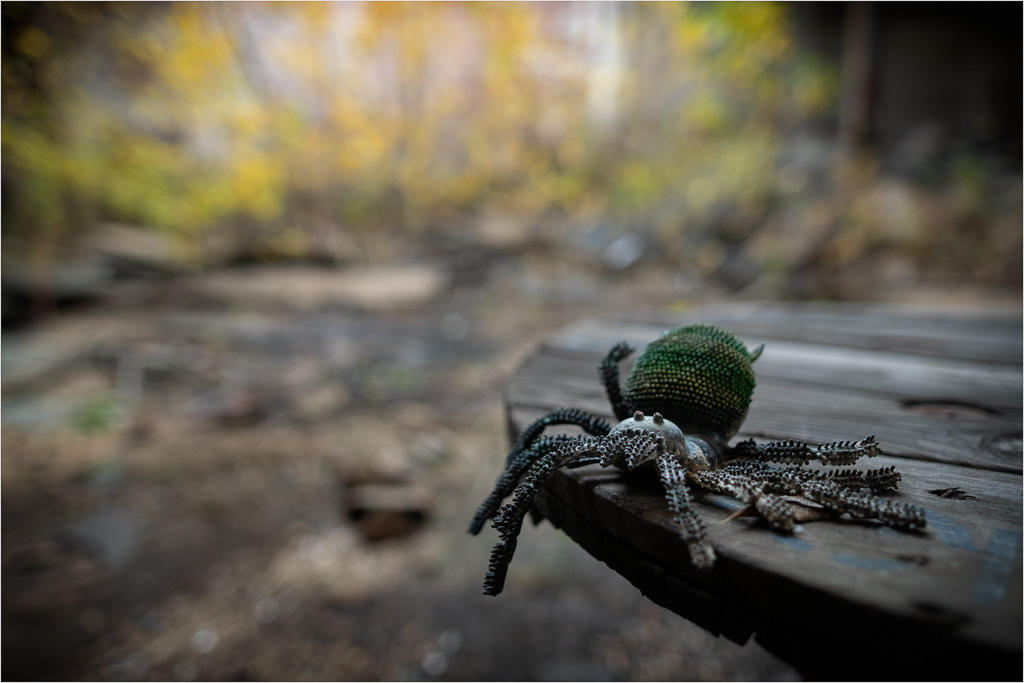 Along-Came-An-Arachnid.jpg