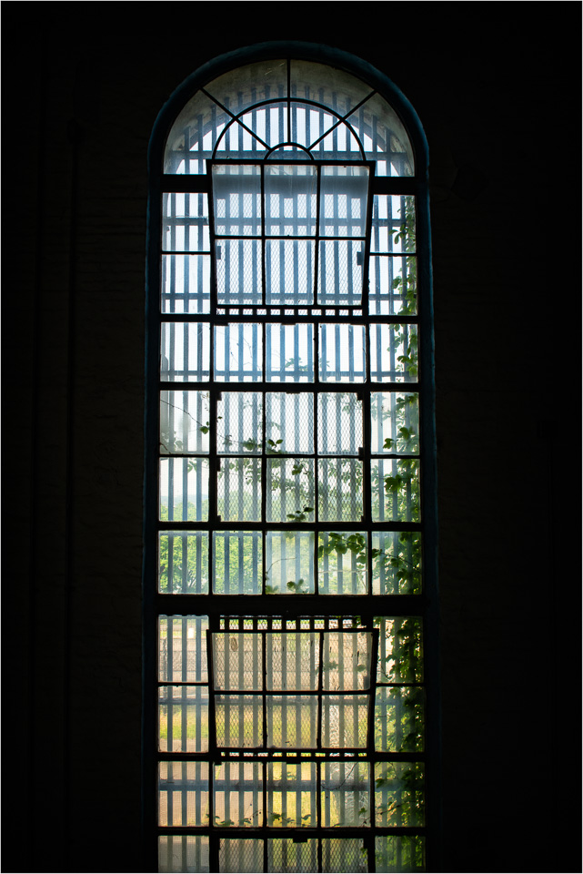 Bars,-Panes,-and-Vines.jpg