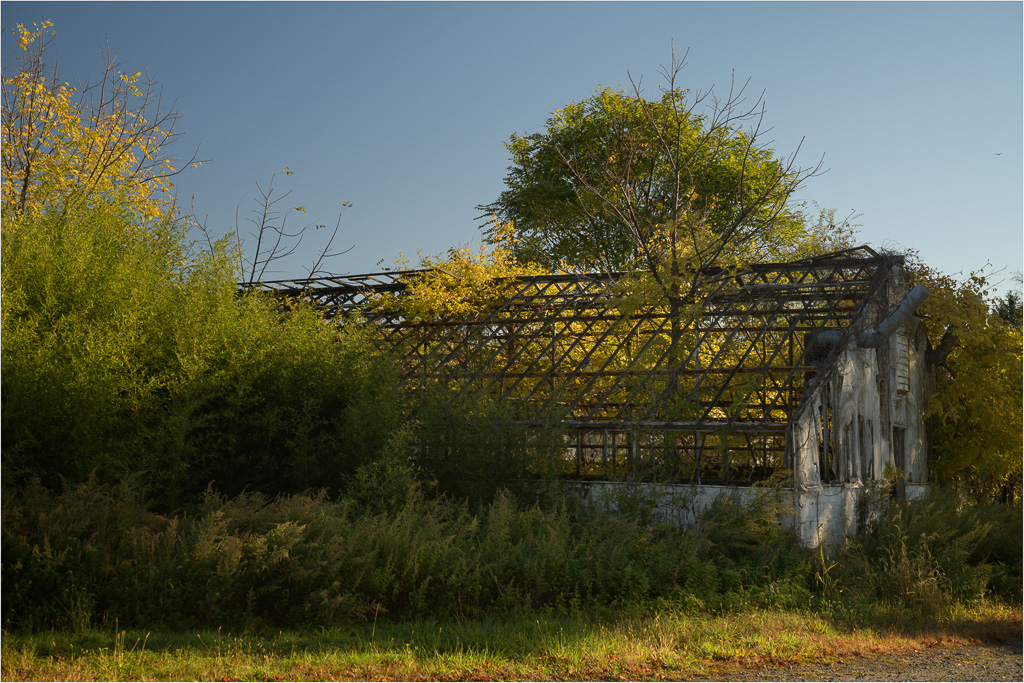 Reclaiming-The-Greenhouse.jpg