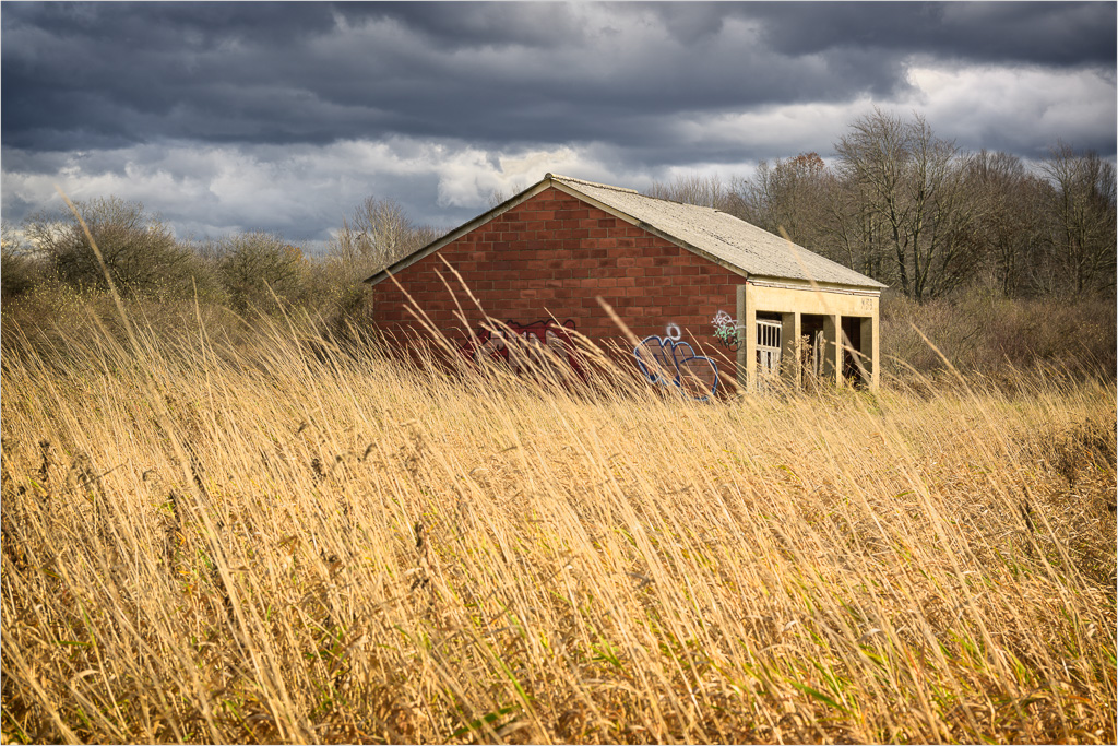 Stormy-Skies-Over-Fields-Of-Gold.jpg