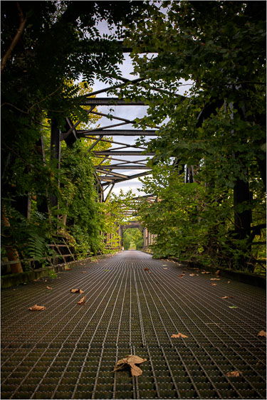 A-Telling-Sign-That-Autumn-Is-Upon-Us.jpg