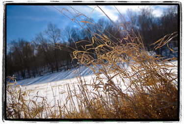 The-Glow-Of-A-Cold-Winter-Day.jpg