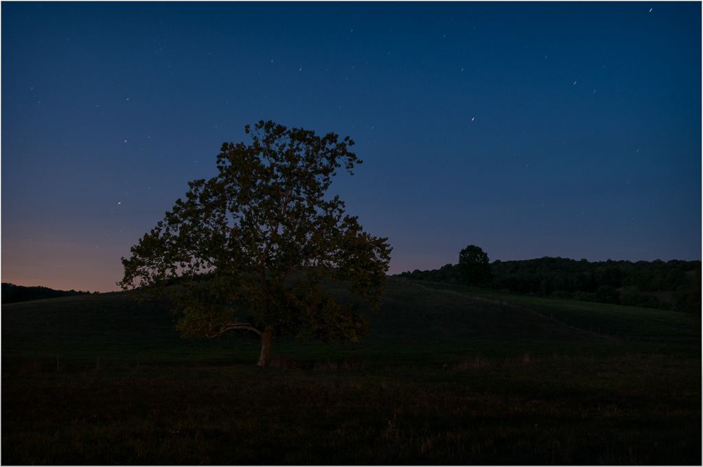 An-Old-Friend-Stargazing.jpg