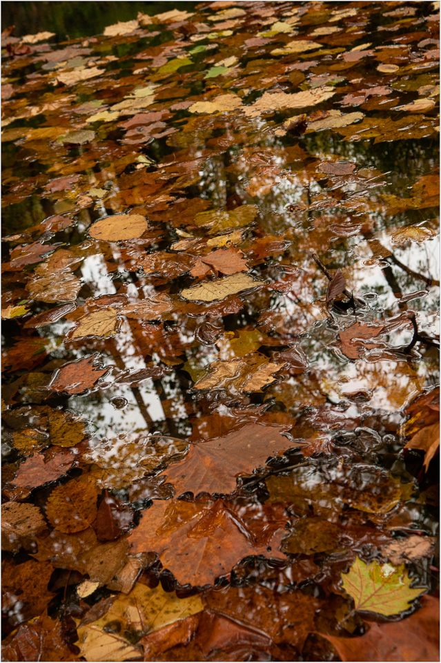 Another-Sky-Beneath-The-Surface.jpg