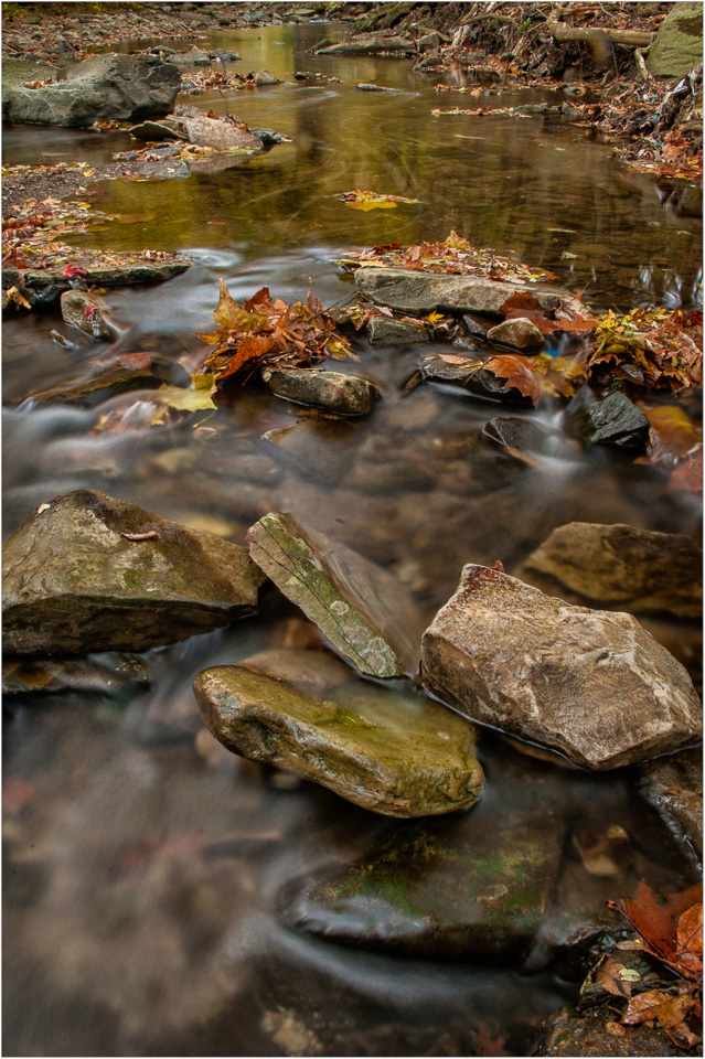 Autumn-In-The-Greenway.jpg