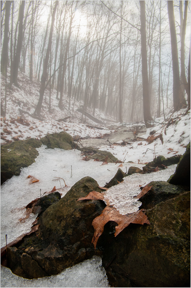 Foggy-Morning,-Icy-Blanket.jpg