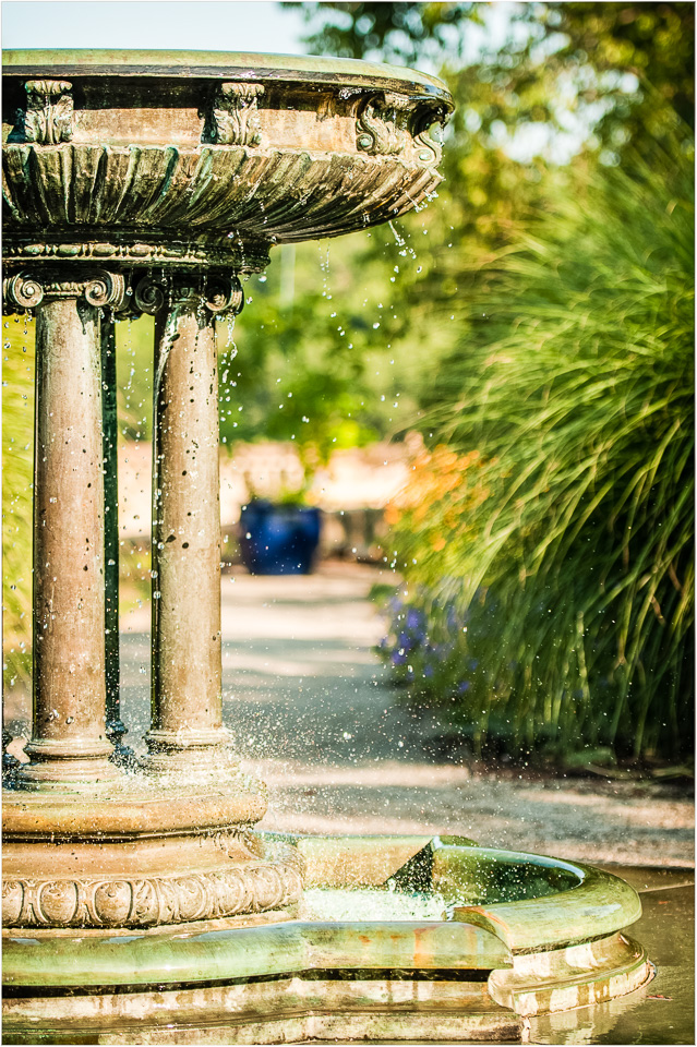 Frozen-Moment-At-The-Conservatory.jpg